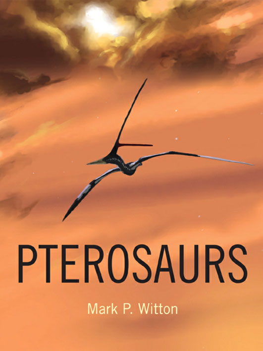 Pterosaurs<span>.</span>