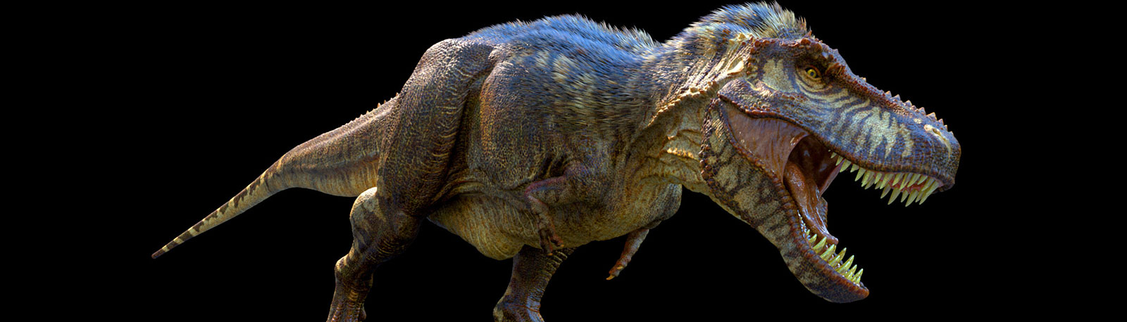 Tyrannosaurus rex<span>.</span>