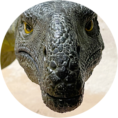Plateosaurus<span>.</span>